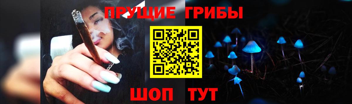 Озёрск  Галлюциногенные грибы Psilocybe  Вход с VPN 